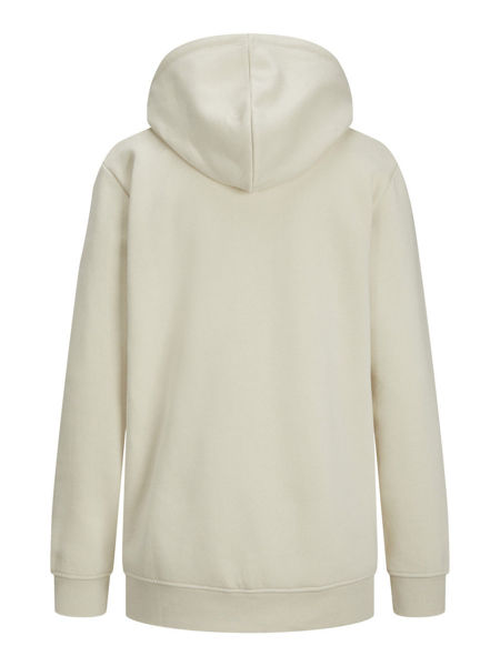 Picture of JXABBIE HOODIE